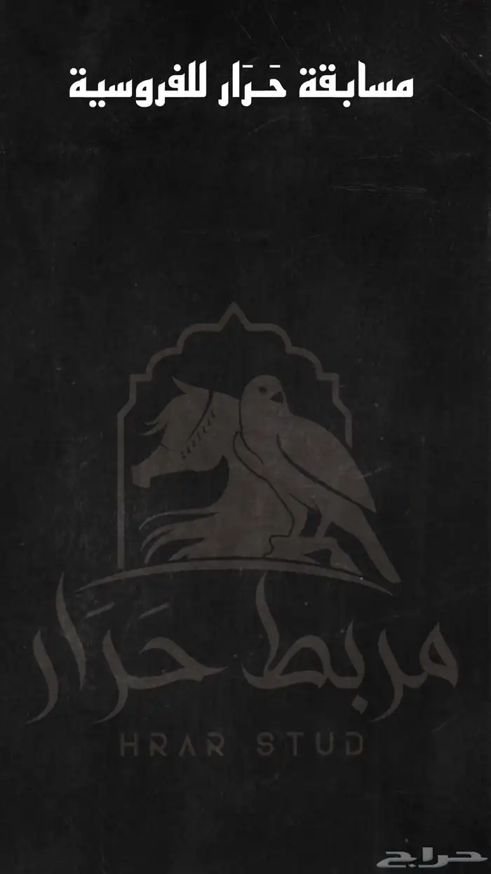 تعليم ركوب الخيل 0