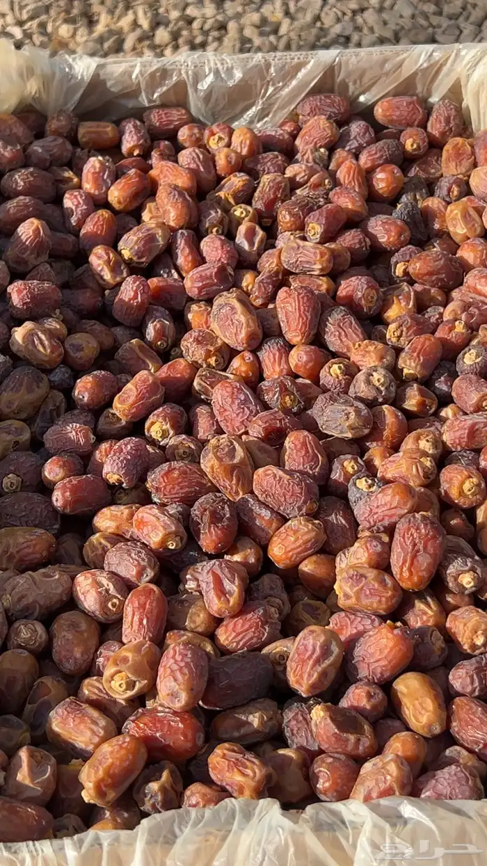 تمر خلاص وادي احمر صافي فاخر ومفروز 4