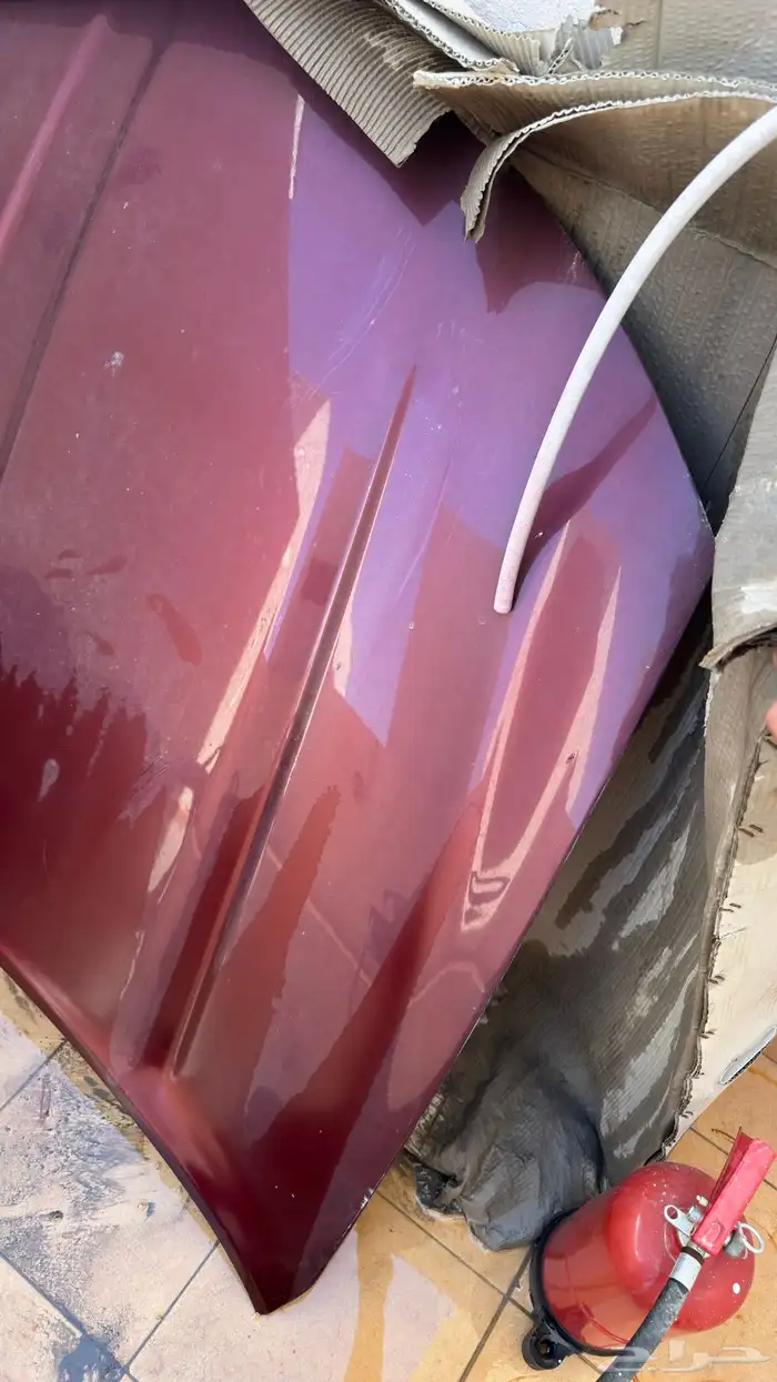 كبوت و صدام خلفي و سمكات تشارجر و شكمان 2015 - 2023 1