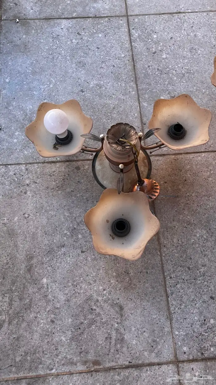 ثريا البيع 1
