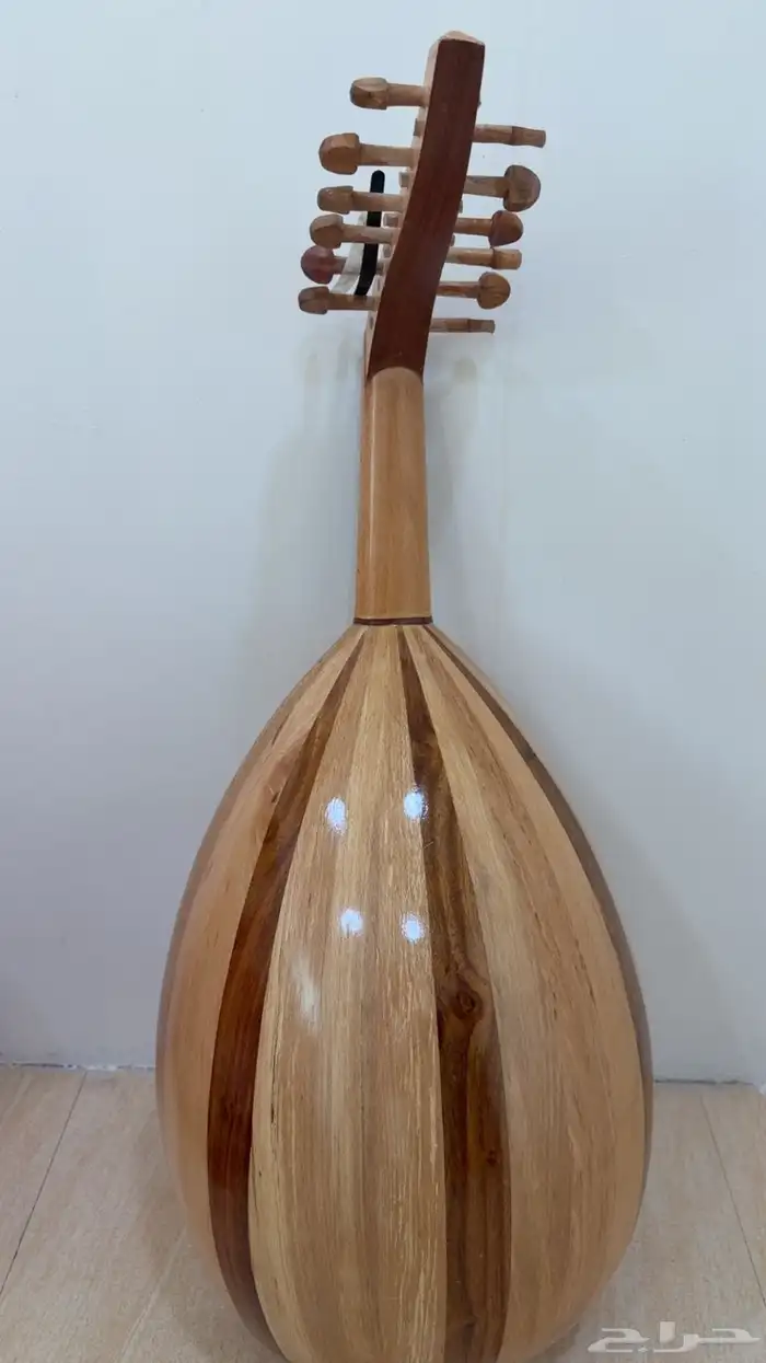 عود مصري 1