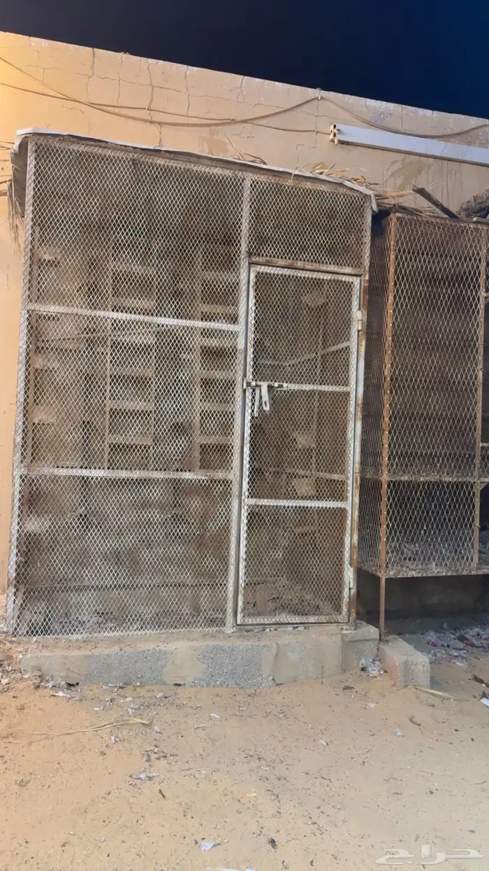 للبيع ثلاث شبوك بقلوه لطيور الزينه والحمام 0