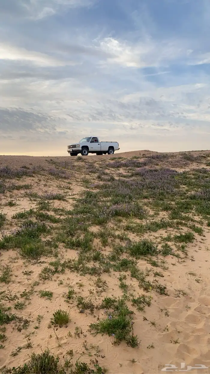 جمس 11