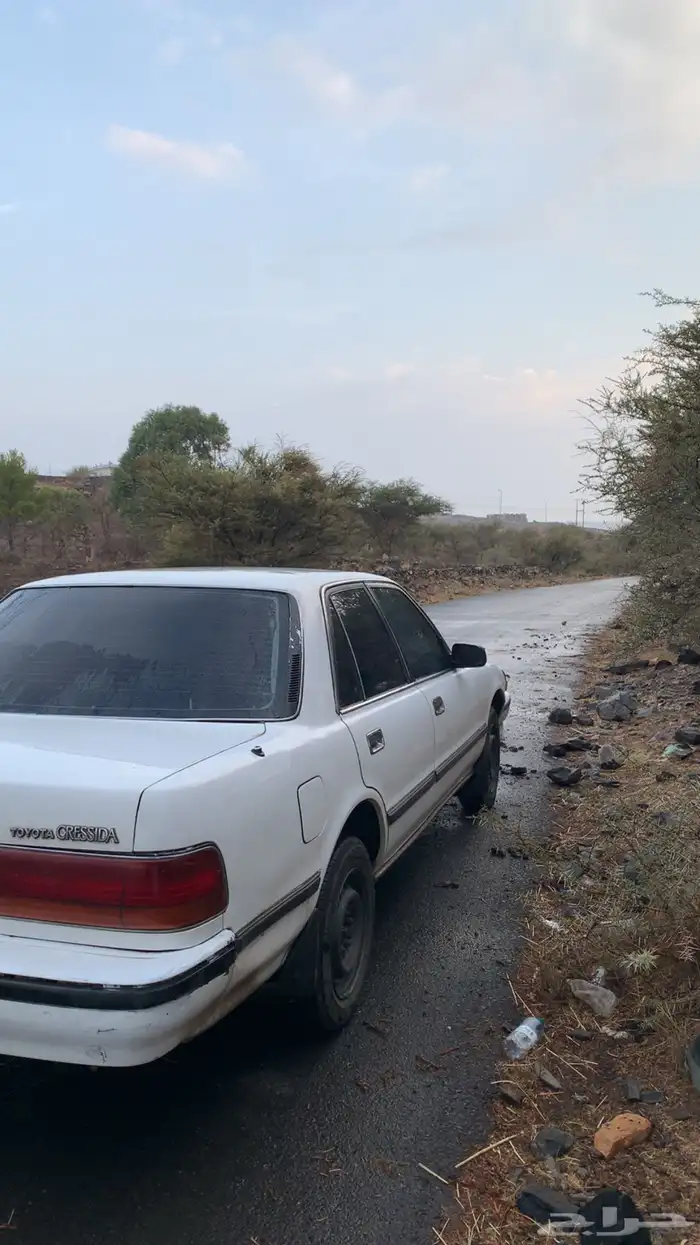 كرسيدا 3