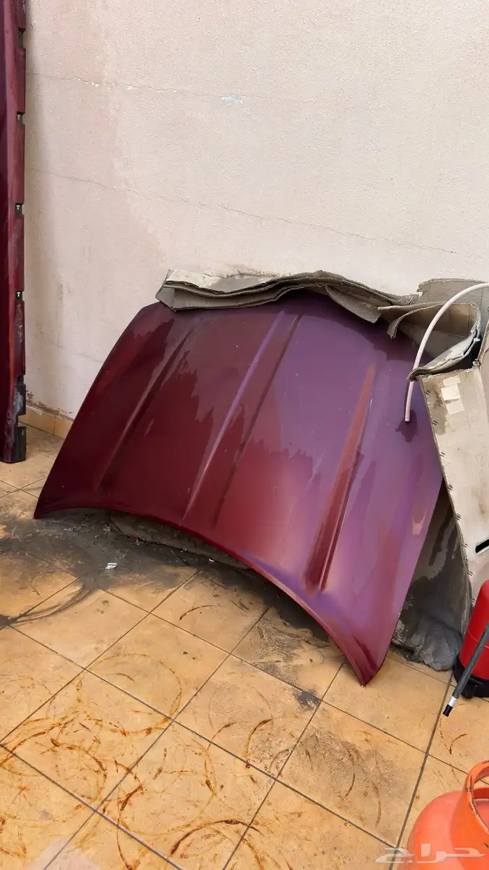 كبوت و صدام خلفي و سمكات تشارجر و شكمان 2015 - 2023 0