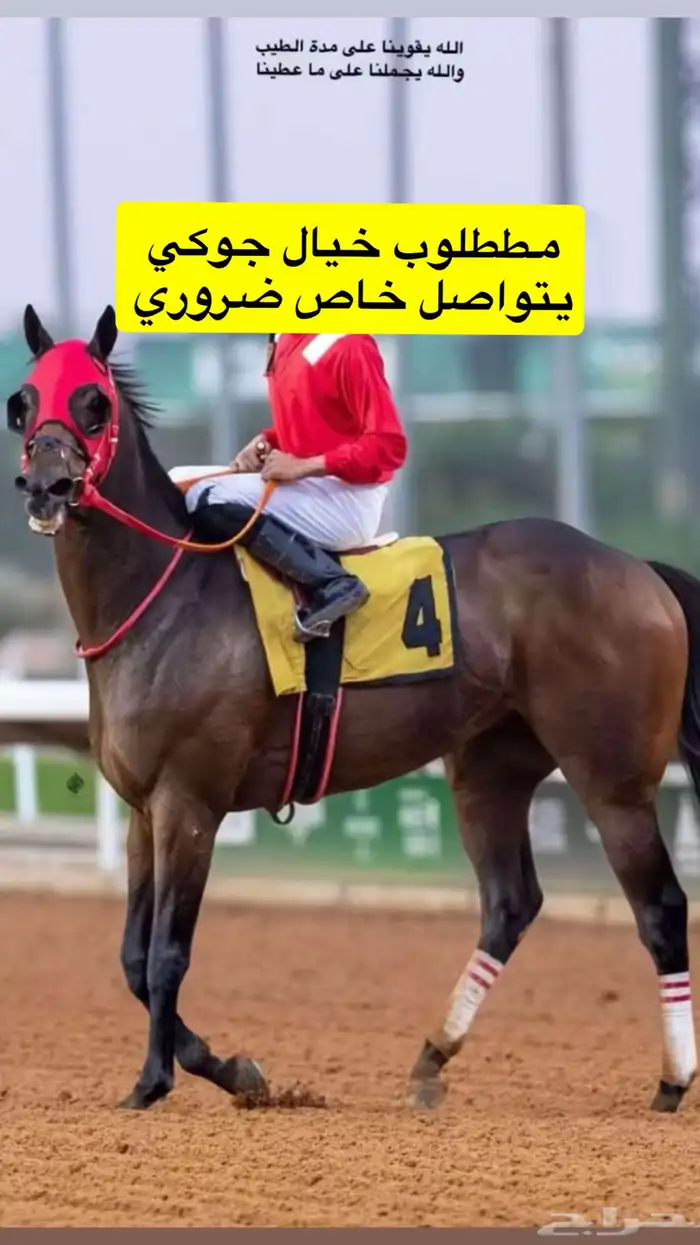 ممطلوب خيال جوكي سباق ضروري 0