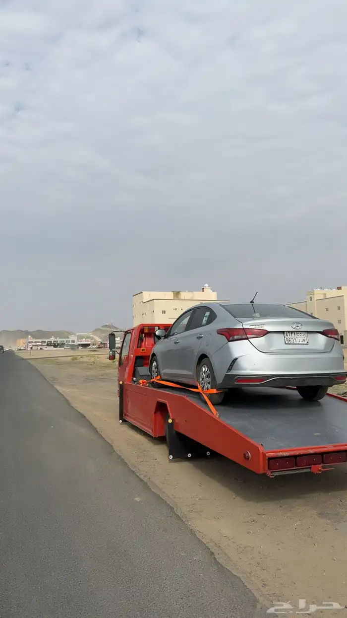 (سطحة بيشة) 2