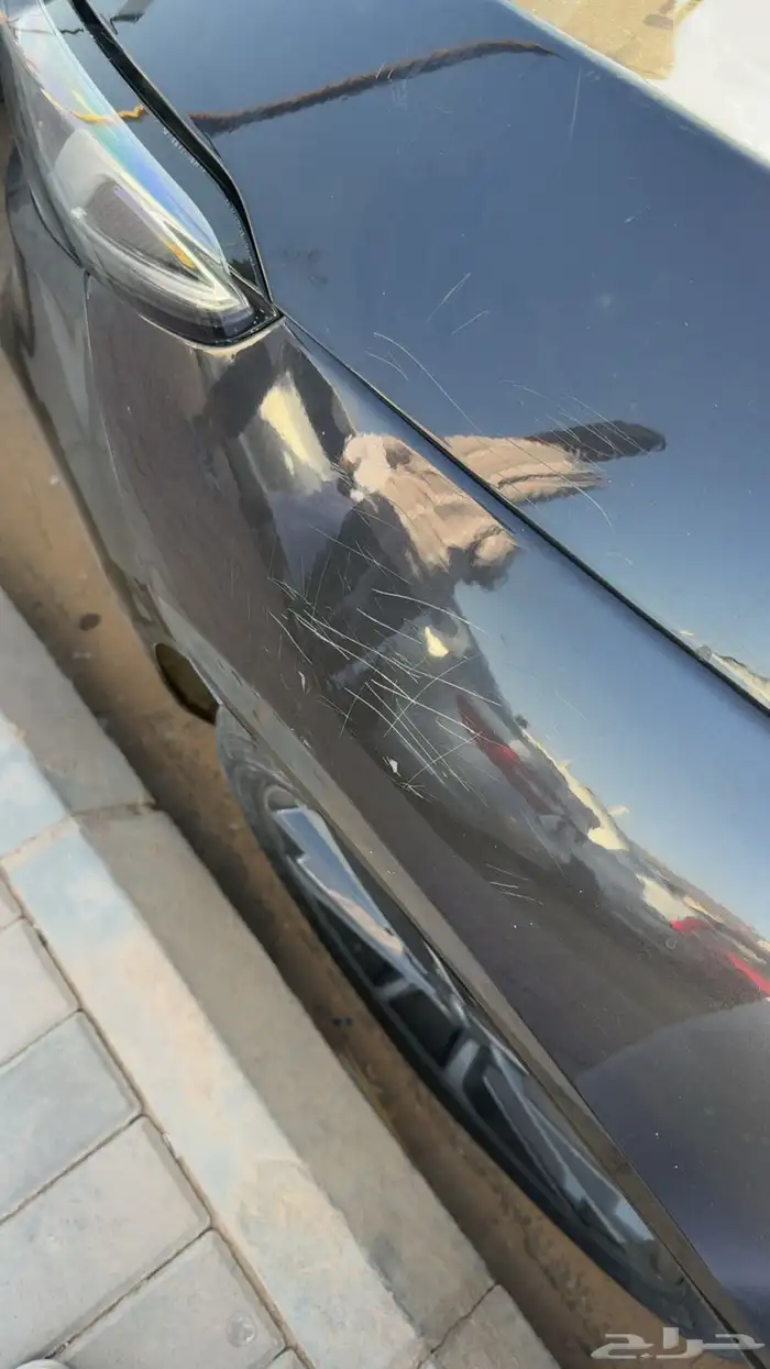 شيري اريزو سكس فل كامل 2022 6