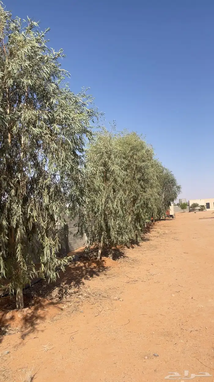 مزرعة مصغره للبيع مكتملة الخدمات 1