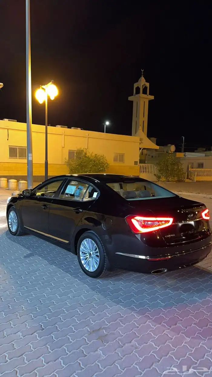 كادينزا 2014 3