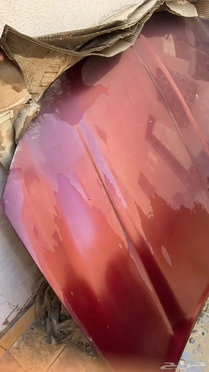 كبوت و صدام خلفي و سمكات تشارجر و شكمان 2015 - 2023 2