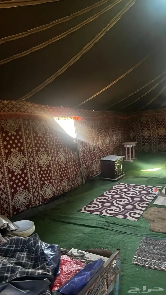 بيت شعر اخو الجديد 6 11 2