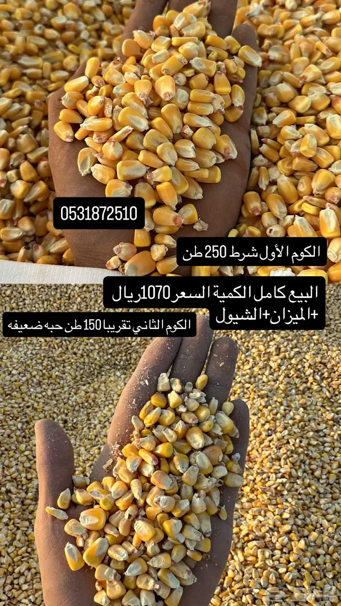 ذرى صفر ا بسيطاء 0