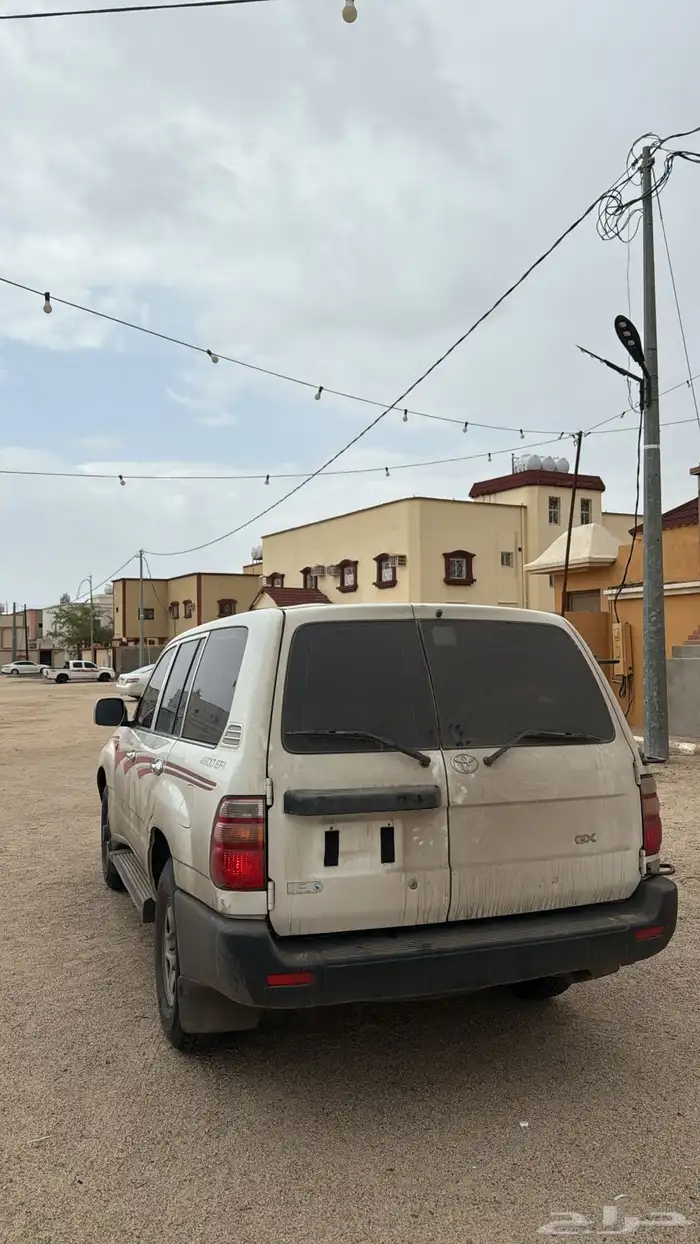 صالون المديل 99 البدي وكاله الممشى 500 استخدام شايب 3