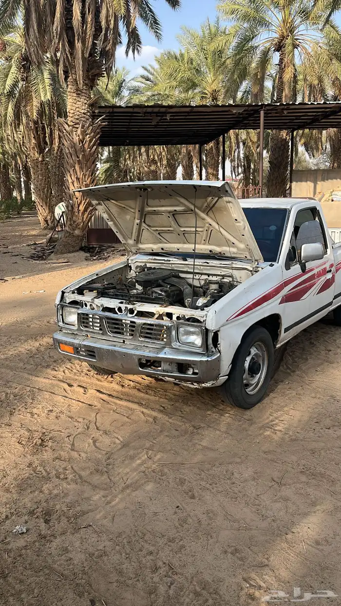بيشه 1