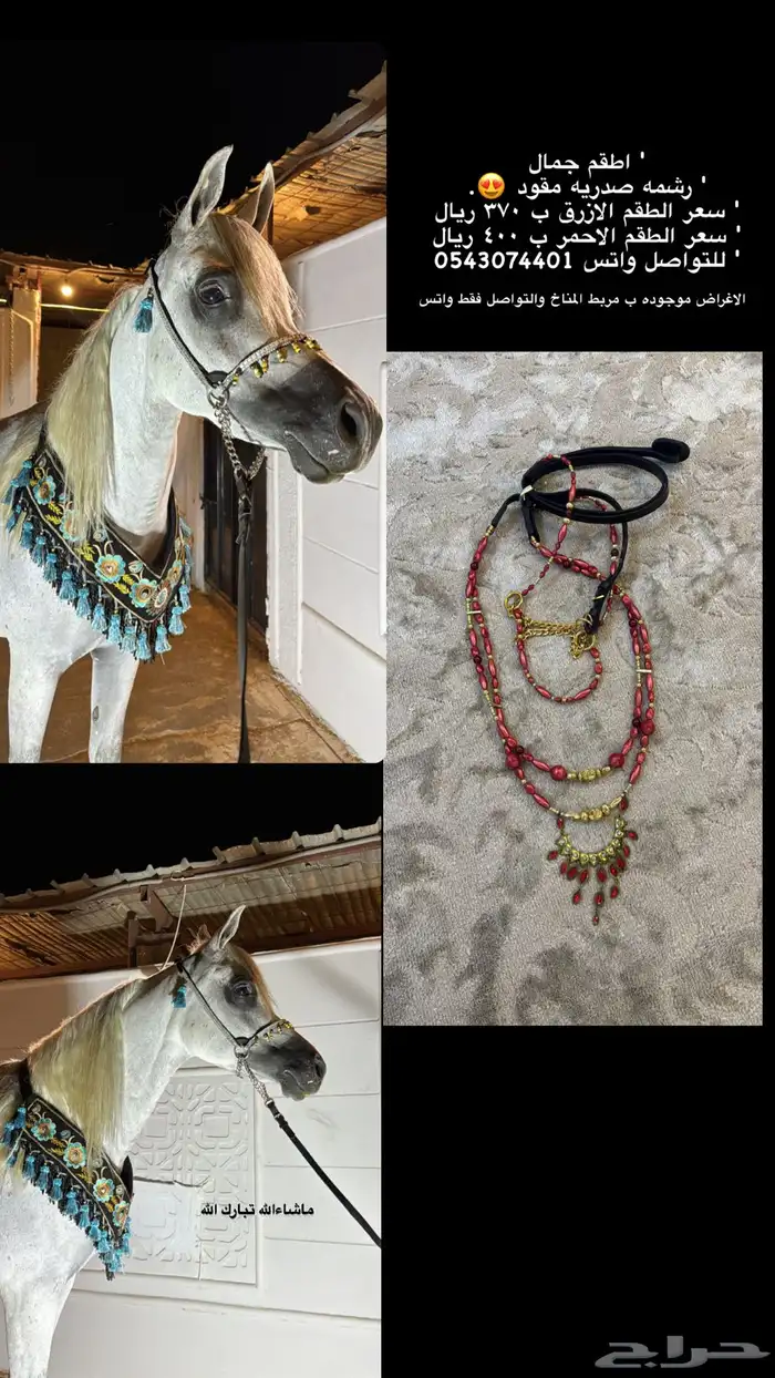 زينة للخيل 5
