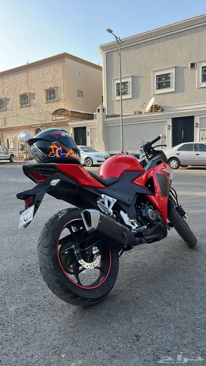 دباب ريس 250 1