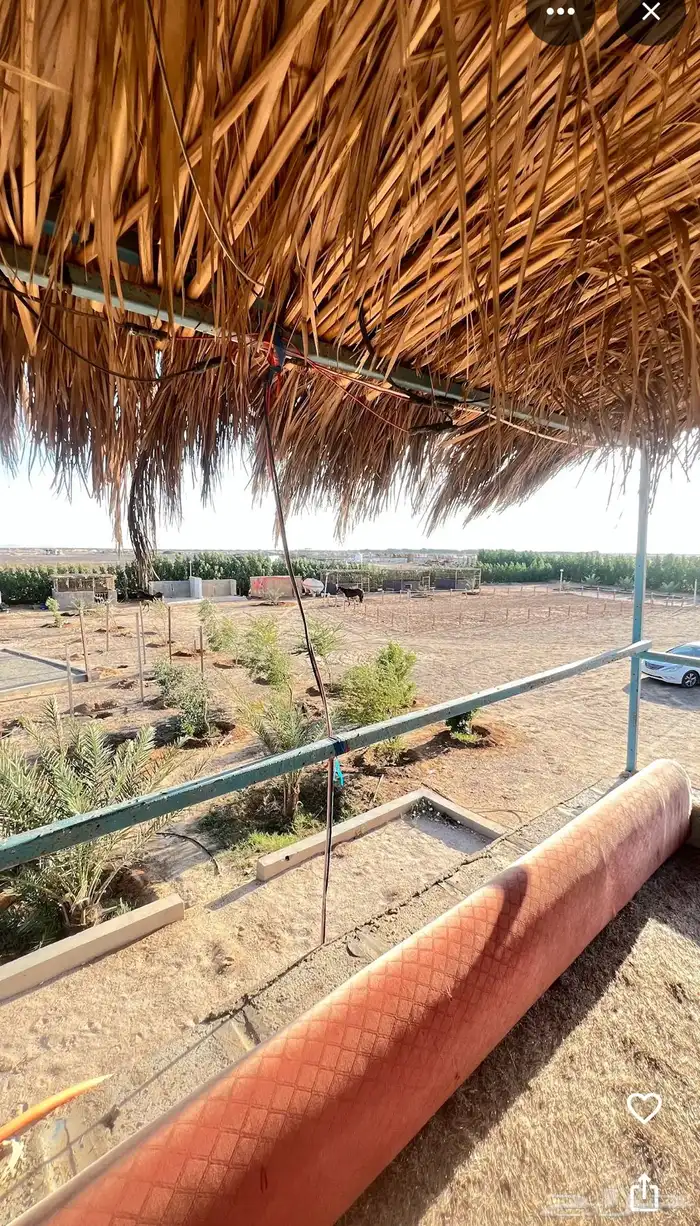 واسطبل مزرعه لإيجار 5