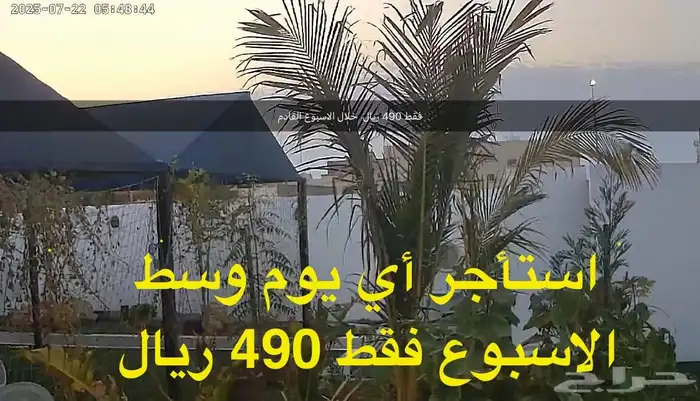 استراحة الوارفة ابحر عزاب شباب 18