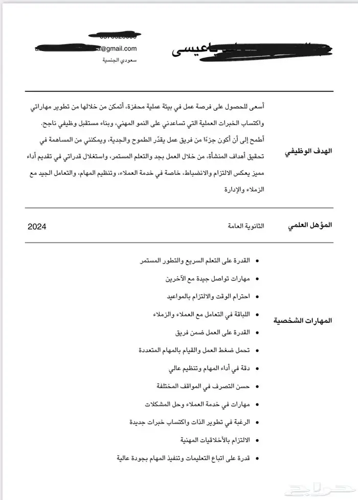 عمل CV احترافي بصيغة ATS 6