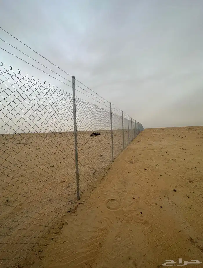 شبوك مزارع مكة جدة المدينة الطائف 0