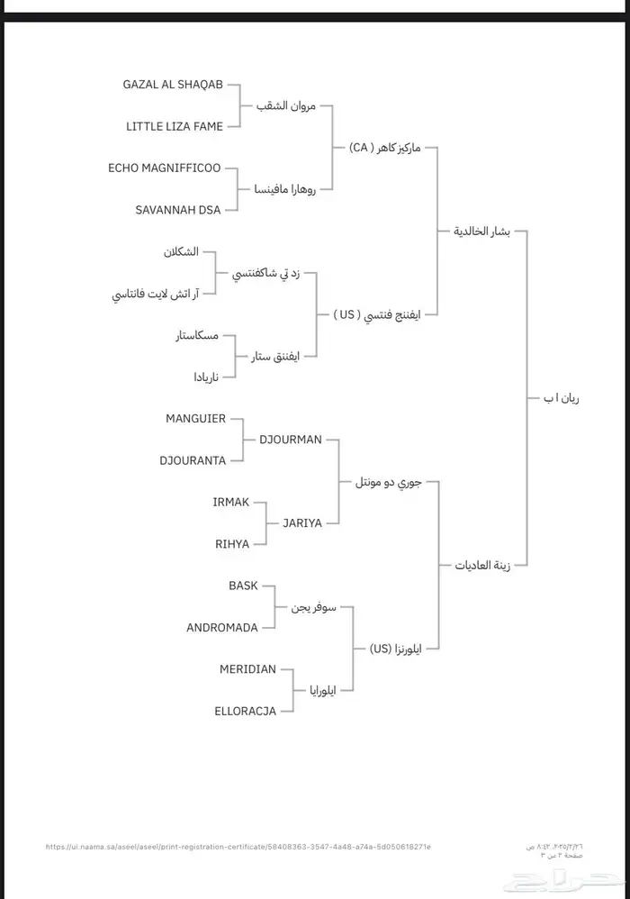 حصان عربي ورق 1