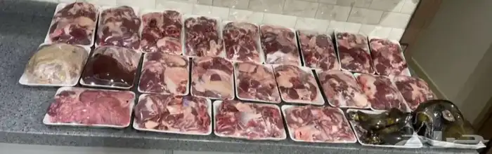ذبائح ثلاجات خدمة الذبح و التوصيل 1