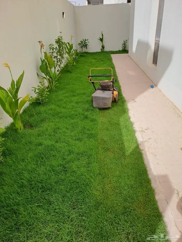 تنسيق حدائق وجميع خدمات الزراعة 0