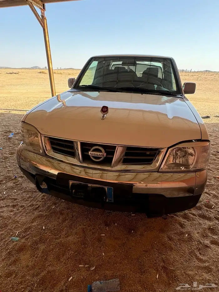 ددسن 2