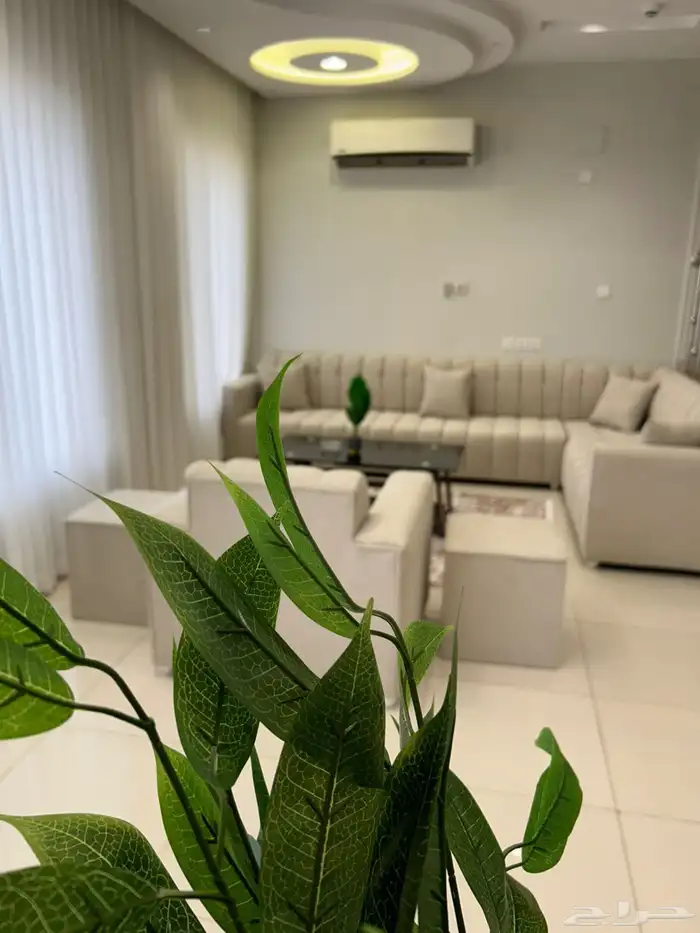 شاليه للايجار اليومي 13