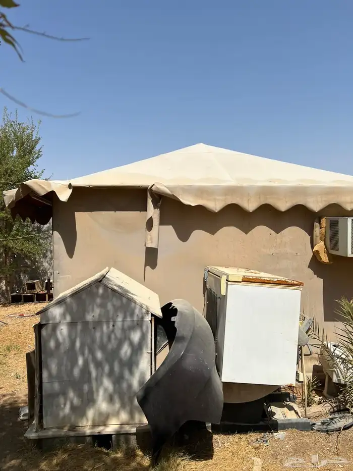 خيمه بمشي للبيع 3
