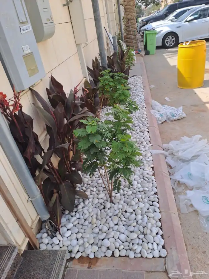 تنسيق حدائق وجميع خدمات الزراعة 2
