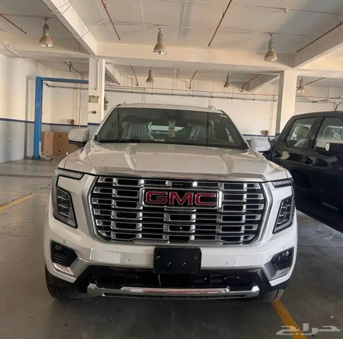 دينالي طويل XL 2025 0
