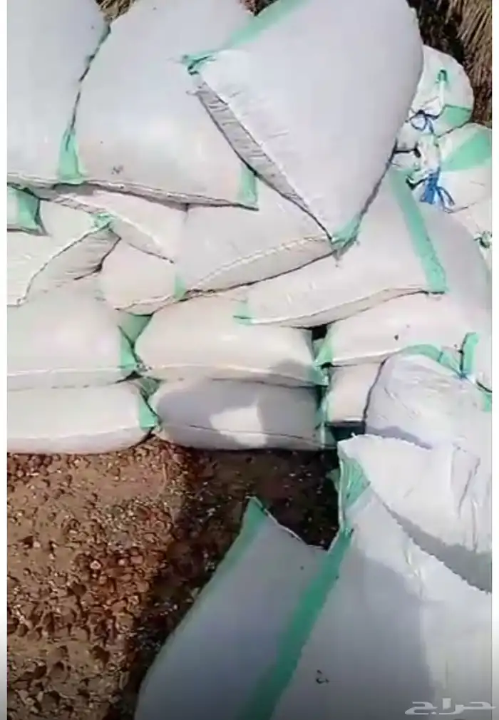 نفيع تمر للحلال 0