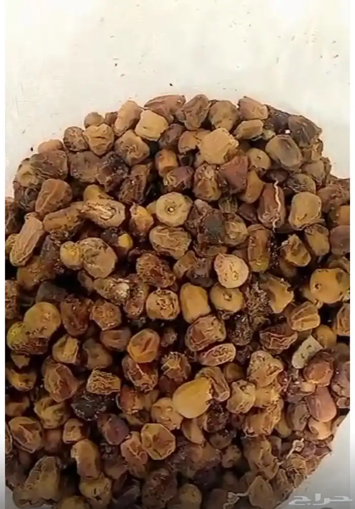 نفيع تمر للحلال 2
