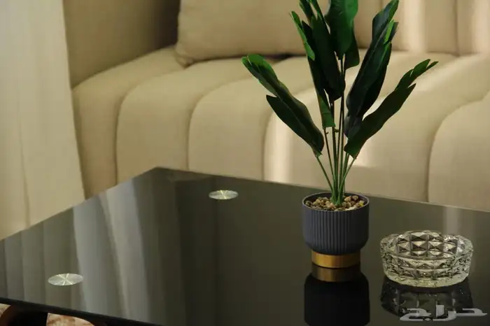 شاليه للايجار اليومي 18