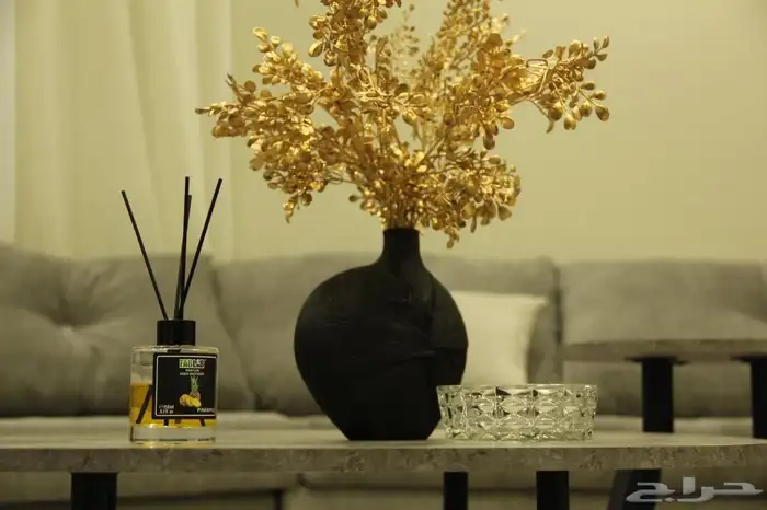 شاليه للايجار اليومي 8