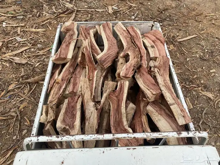 للبيع ددسن غماره موجود مبروم وشلايخ ددسن شرط يبس 0