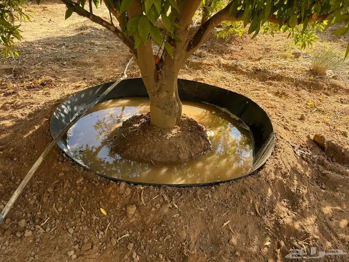 الاحواض الزراعية 4