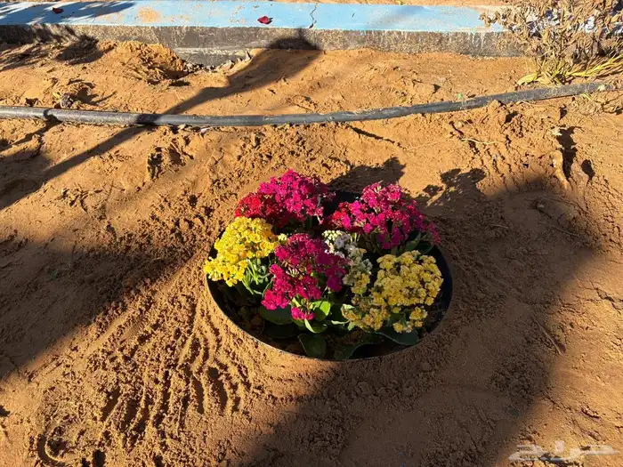 الاحواض الزراعية 6