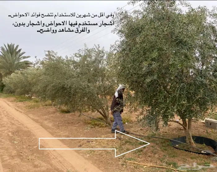الاحواض الزراعية 8