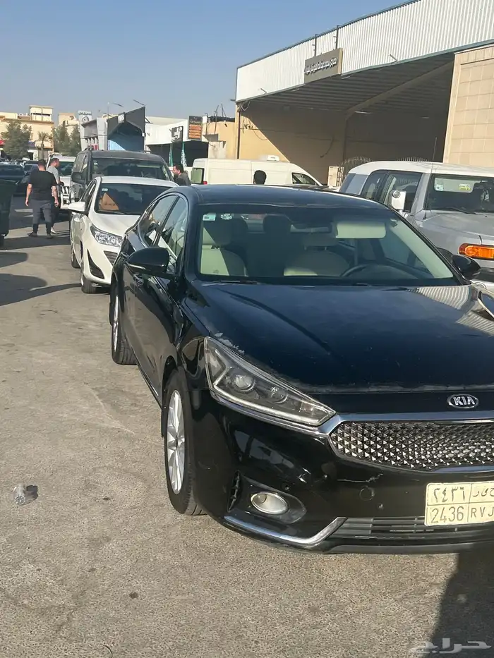 كادينزا 2017 2