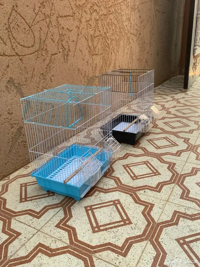 شبك طيور زينه 1