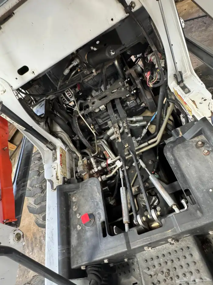 بوبكات مديلات 2014 و2016 4