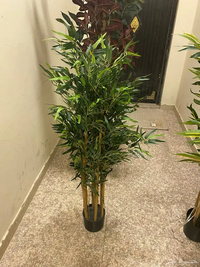 تحف وفازات ورزع 1