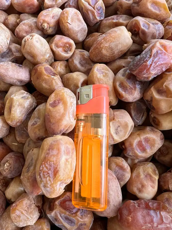 تمر خلاص اشقر فله 11 طن انتاج 2025 3