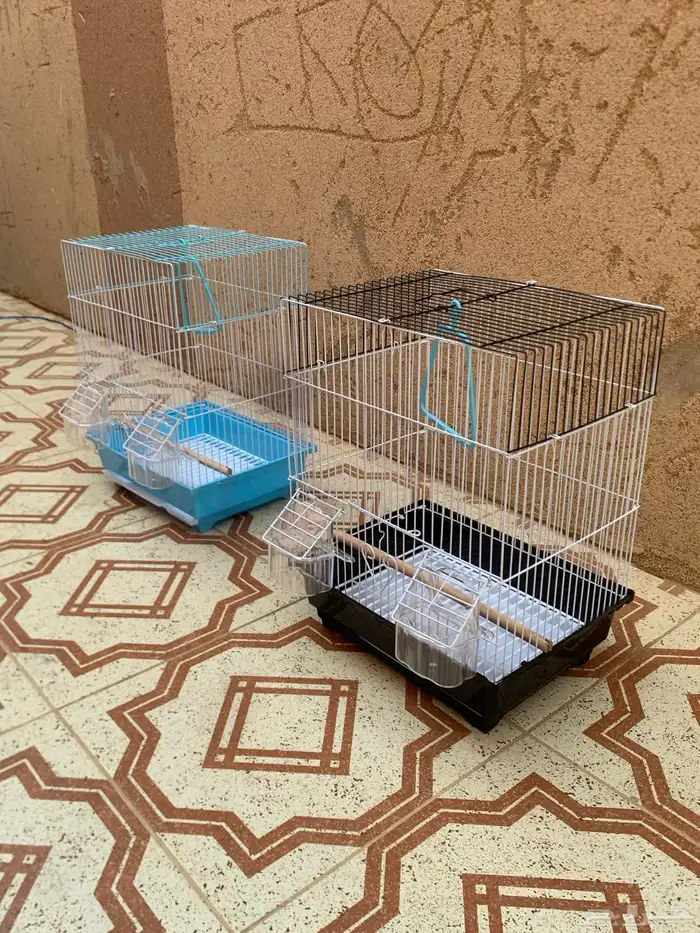 شبك طيور زينه 2