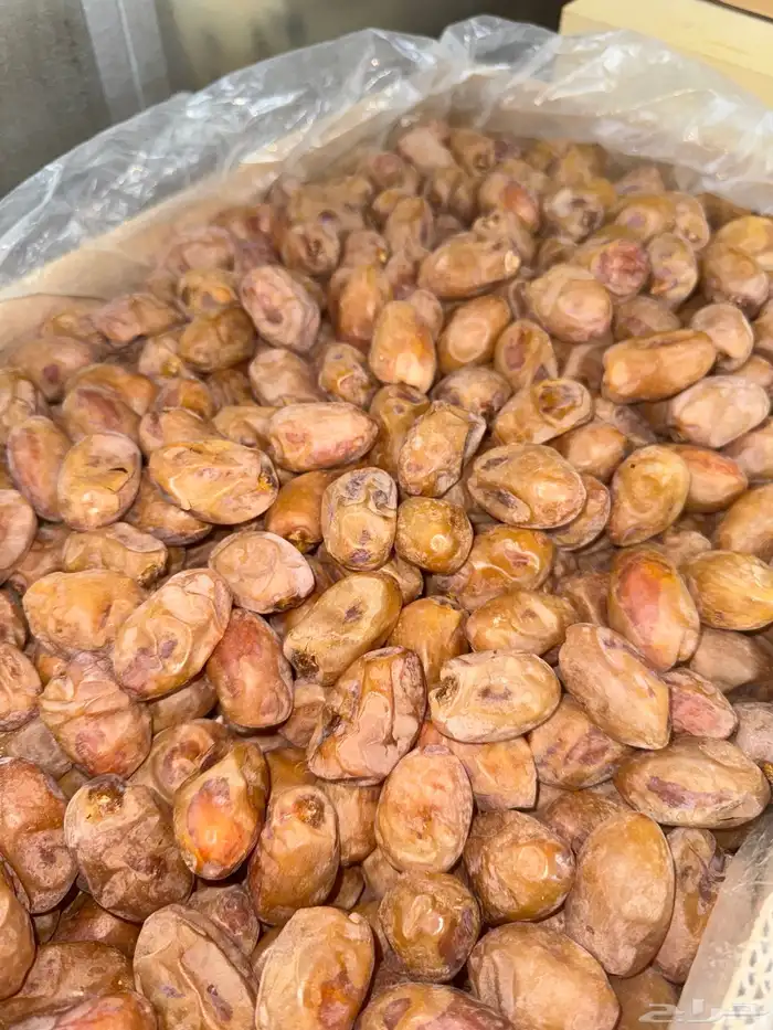 تمر خلاص فله أشيقر 4