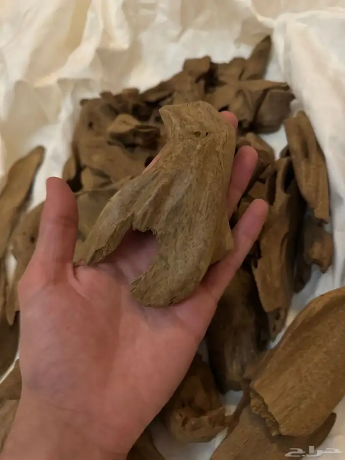 عود موروكي اصقون تربل سوبر قديم 5