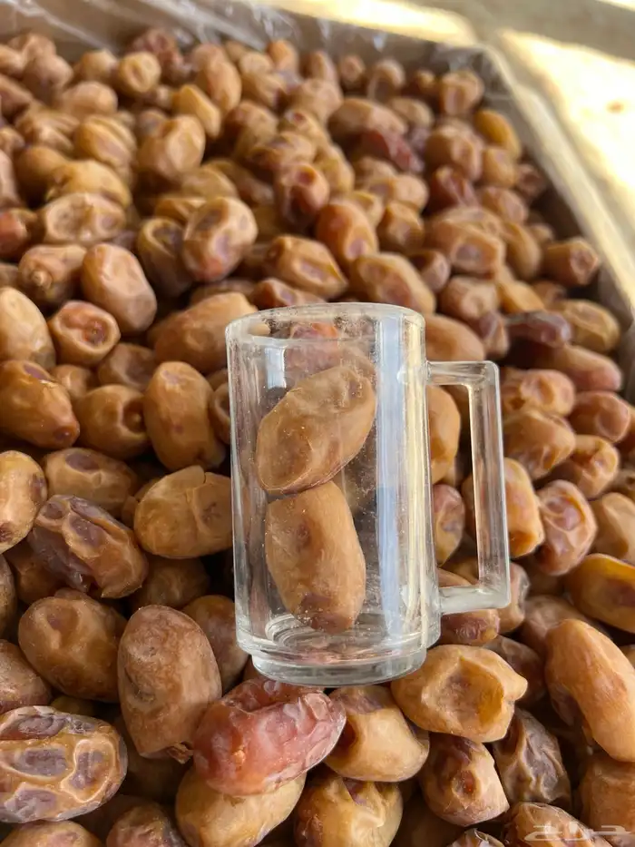 تمر خلاص اشقر فله 11 طن انتاج 2025 4